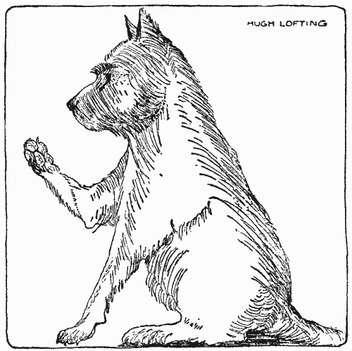 "I had been looking at the lines in my paw-pads"