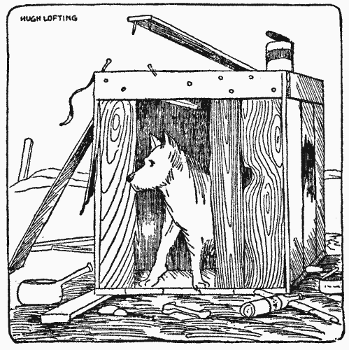 "The packing-case as a kennel left a good deal to be desired"