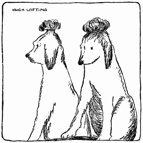 "Their top-knots were trimmed into a very smart shape"