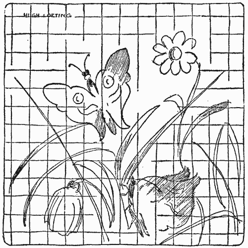 "The moths and butterflies were liberated in an enclosed garden"