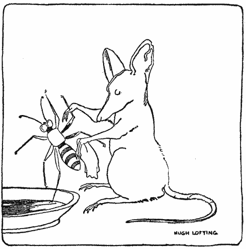 "No one else's hands were small enough to wash a wasp's legs"