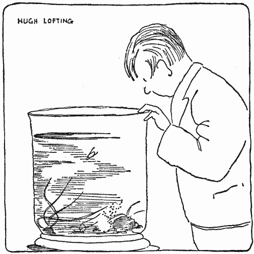 "He was for ever shooting around this glass jar"