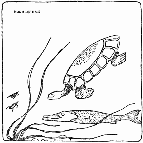 "Came up and glowered at us through murky waters"