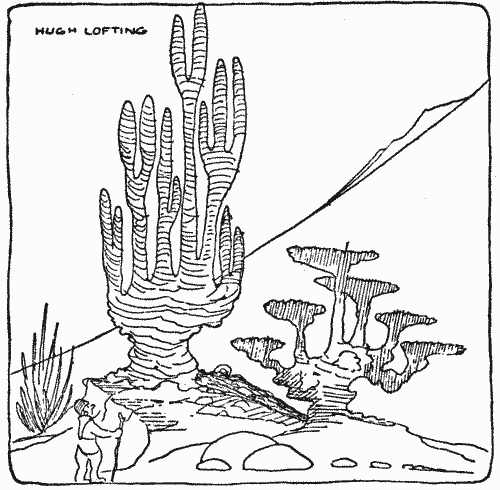 "Trees which he had never seen before gave him ideas"