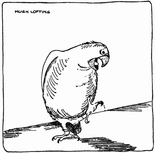 "'Shiver my timbers!' growled Polynesia"