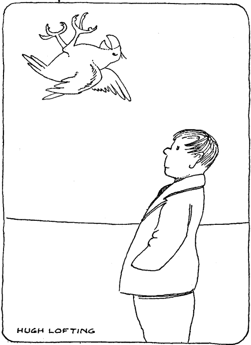 "Like a bundle of rags, turning over and over"