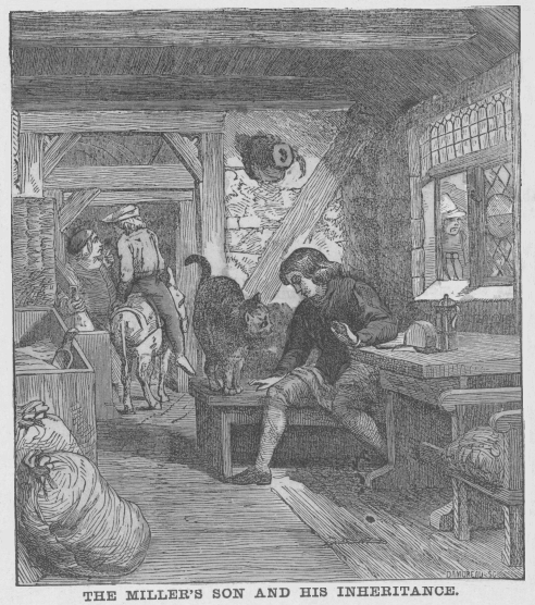 The Miller's son and his inheritance.