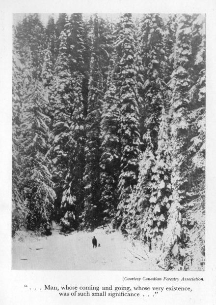 "Man, whose coming and going, whose very existence, was of such small significance..." <I>Courtesy Canadian Forestry Association.</I>