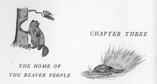 Chapter III headpiece