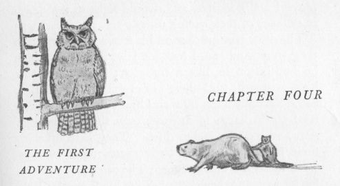 Chapter IV headpiece