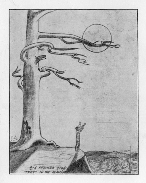 Big Feather stood there in the moonlight