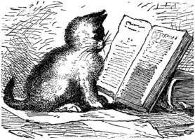 cat sitting in front of book.