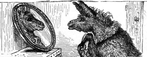 donkey putting on a lace ruff.