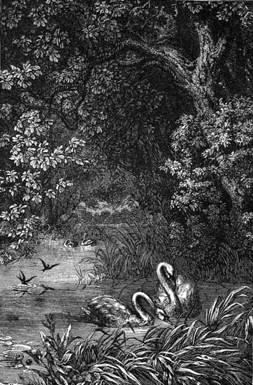 Away from the Haunts of Men.