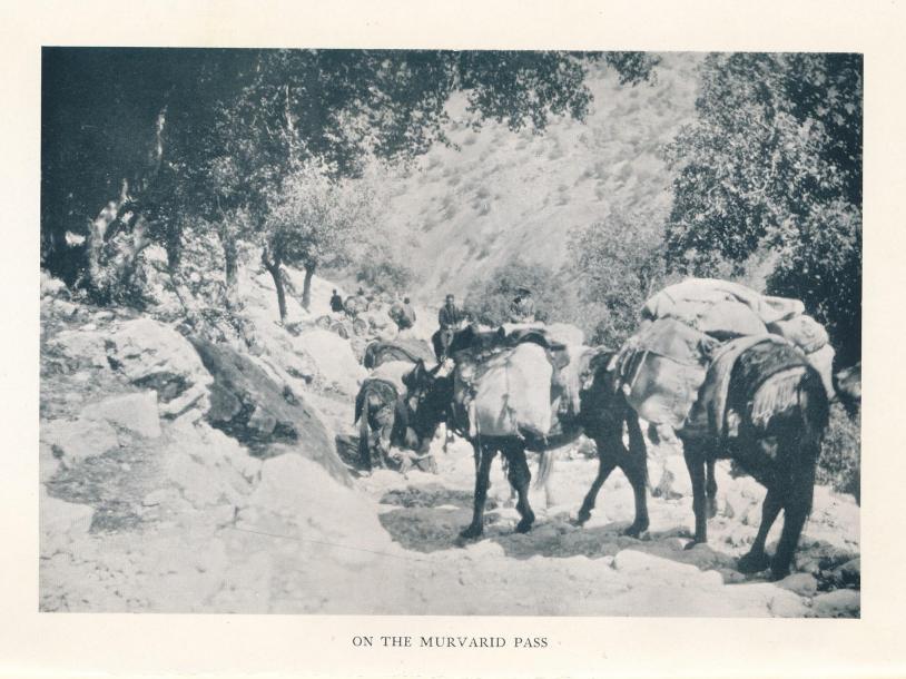 ON THE MURVARID PASS