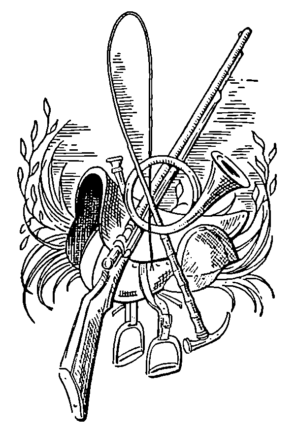 saddlestirrupsgunwhipandhorn