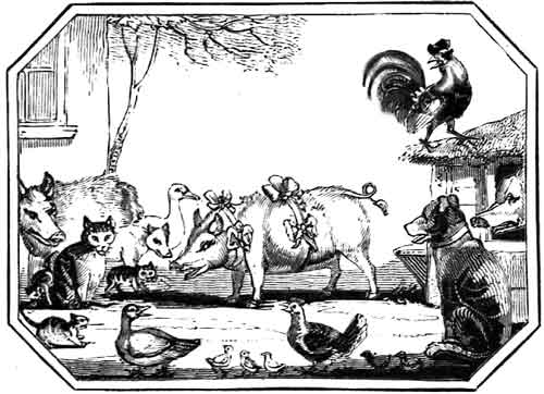 THE
    LEARNED PIG.