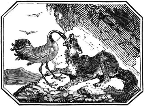 THE
    GRATEFUL CRANE.