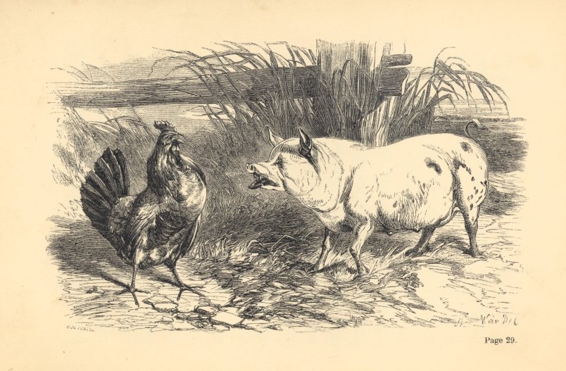 Wilful and Miss Peck