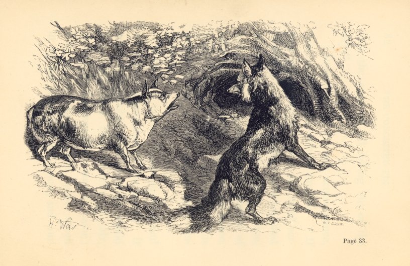 Wilful and Mr. Brush