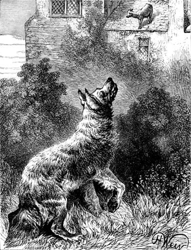 THE KID AND THE WOLF.