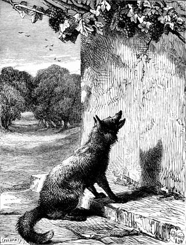 THE FOX AND THE GRAPES.