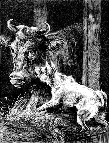 THE DOG IN THE MANGER.