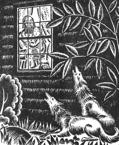 THEY LOOKED LIKE SHAGGY DOGS